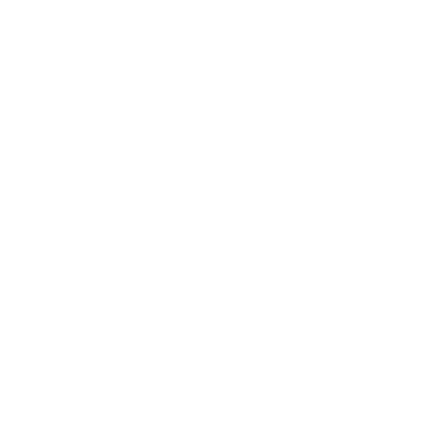 LEXUS לוגו